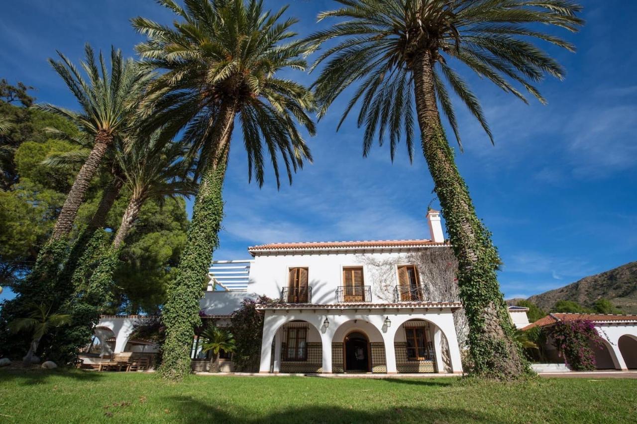 Espacio Premium Alicante 1 – ALICANTE